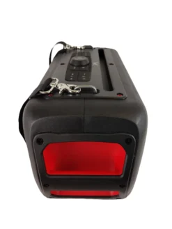 Altoparlante portatile Majestic Fire 39 BK con luci LED e tracolla