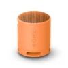 Altoparlante portatile Sony SRSXB100D Bluetooth con Extra Bass