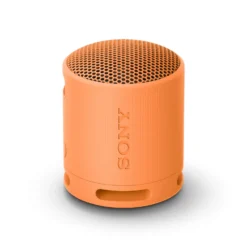 Altoparlante portatile Sony SRSXB100D Bluetooth con Extra Bass
