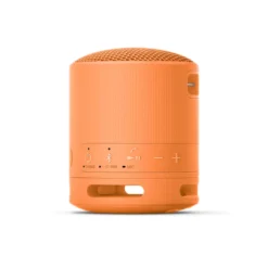 Altoparlante portatile Sony SRSXB100D Bluetooth con Extra Bass