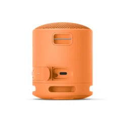 Altoparlante portatile Sony SRSXB100D Bluetooth con Extra Bass