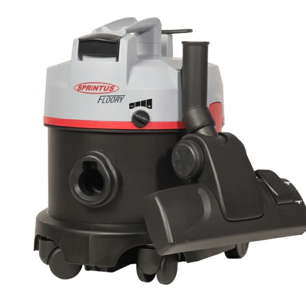 Aspirapolvere professionale potente Floory 700 W 11 litri