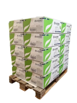 Bancale da 20 scatole da 40 pacchetti ciascuna di carta igienica interfogliata Lucart