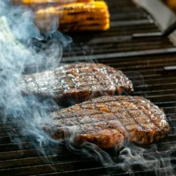 Barbecue a gas Fry Top 750 Basic da appoggio 4 bruciatori griglia tondino
