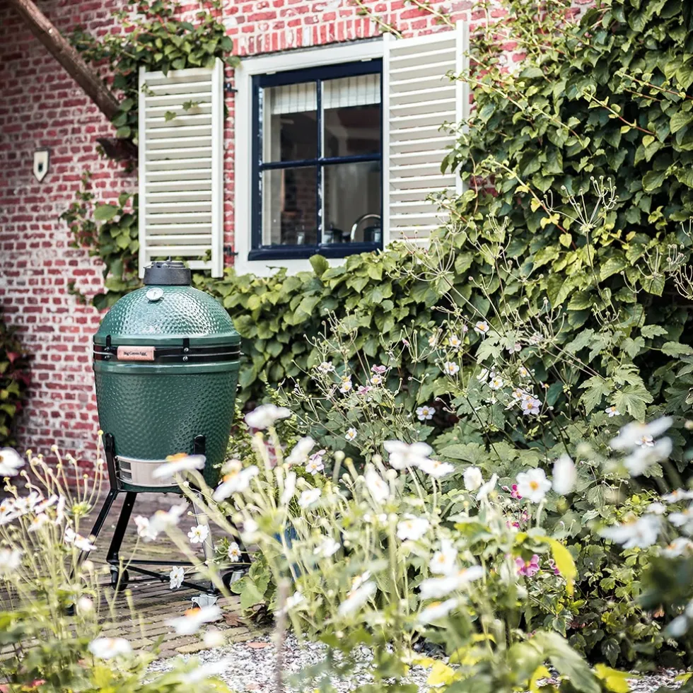 Barbecue Big Green Egg Medium pacchetto Starter