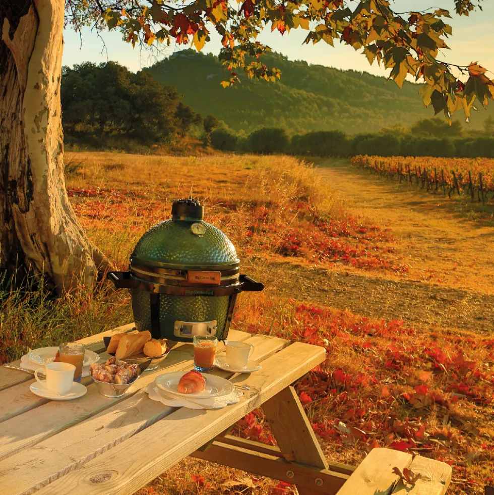 Barbecue Mini Max - Big Green Egg