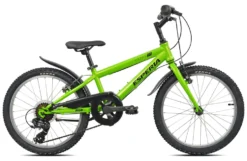 Bicicletta Esperia 269200V HAPPY Verde