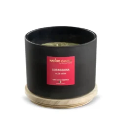 Candela profumata naturali Coraggiosa - Aloe vera 380 gr - collezione Leiè