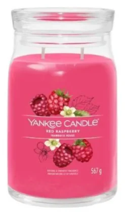 Candela profumata Yankee Candle 1701375E SIGNATURE Giara L 65-80 ore F