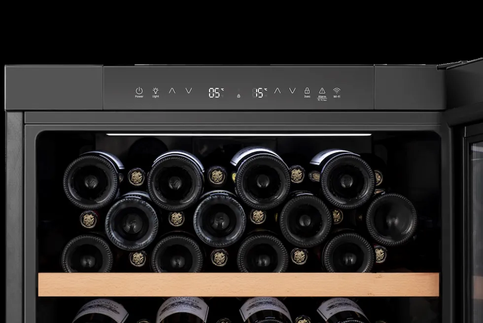 Cantina vino Hisense RW3N230GELF doppia temperatura 108 bottiglie