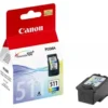 Cartuccia stampante Canon 2972B001 CHROMALIFE 100+