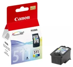 Cartuccia stampante Canon 2972B001 CHROMALIFE 100+