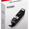 Cartuccia stampante Canon 6431B001 CHROMALIFE 100+ XL
