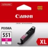 Cartuccia stampante Canon 6445B001 CHROMALIFE 100+ XL