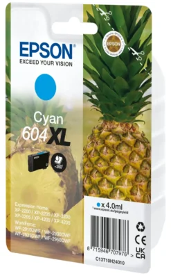 Cartuccia stampante Epson C13T10H24020 604 XL