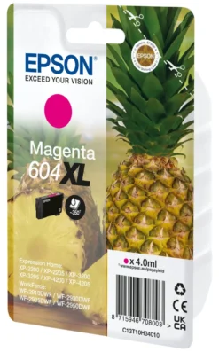 Cartuccia stampante Epson C13T10H34020 604 XL
