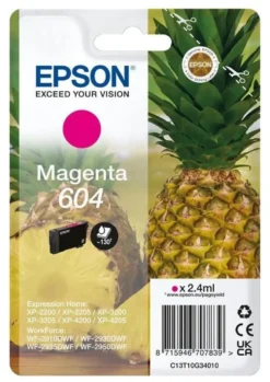 Cartuccia stampante Epson C13T10G34020 604