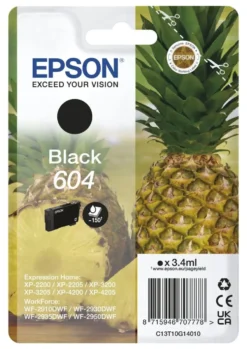 Cartuccia stampante Epson C13T10G14020 604