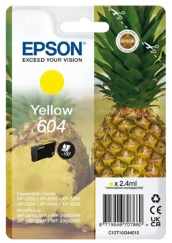 Cartuccia stampante Epson C13T10G44020 604