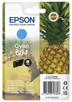 Cartuccia stampante Epson C13T10G24020 604