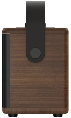 Cassa wireless Pure 254374 CLASSIC Aura Coffee brown e Walnut