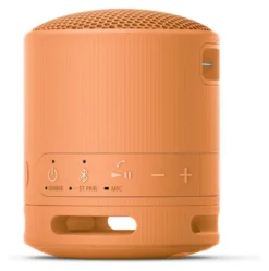 Cassa wireless Sony SRSXB100D CE7 Compact Orange
