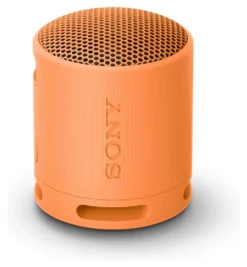 Cassa wireless Sony SRSXB100D CE7 Compact Orange