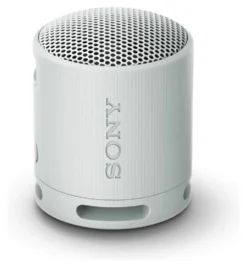 Cassa wireless Sony SRSXB100H CE7 Compact Gray