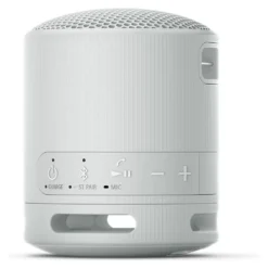 Cassa wireless Sony SRSXB100H CE7 Compact Gray