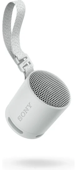 Cassa wireless Sony SRSXB100H CE7 Compact Gray
