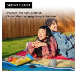 Cassa wireless Sony SRSXB100H CE7 Compact Gray