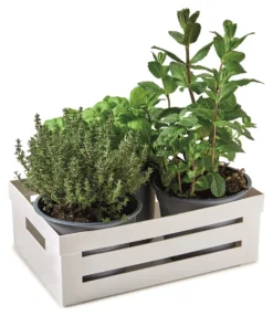Cassetta multiuso Snips 000909 STORAGE BOX impilabile Bianco