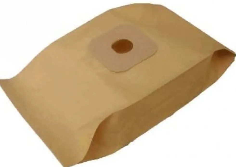 Confezione 10 sacchetti carta per aspirapolvere professionale Hoover Professiona C2808
