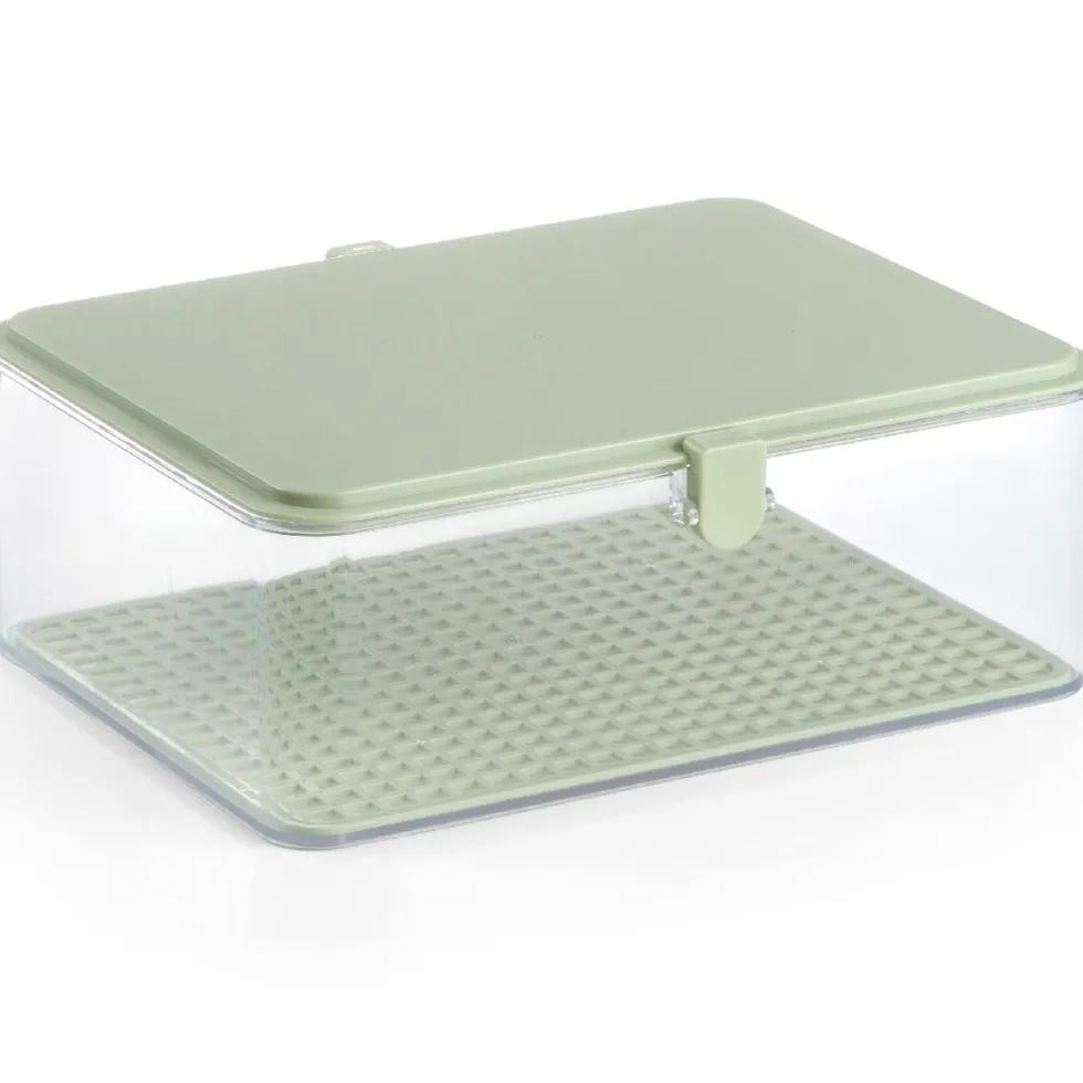 Contenitore salva sapori/vassoio servintavola in ABS e policarbonato 22 x 16 x h 10 cm - Degustibus