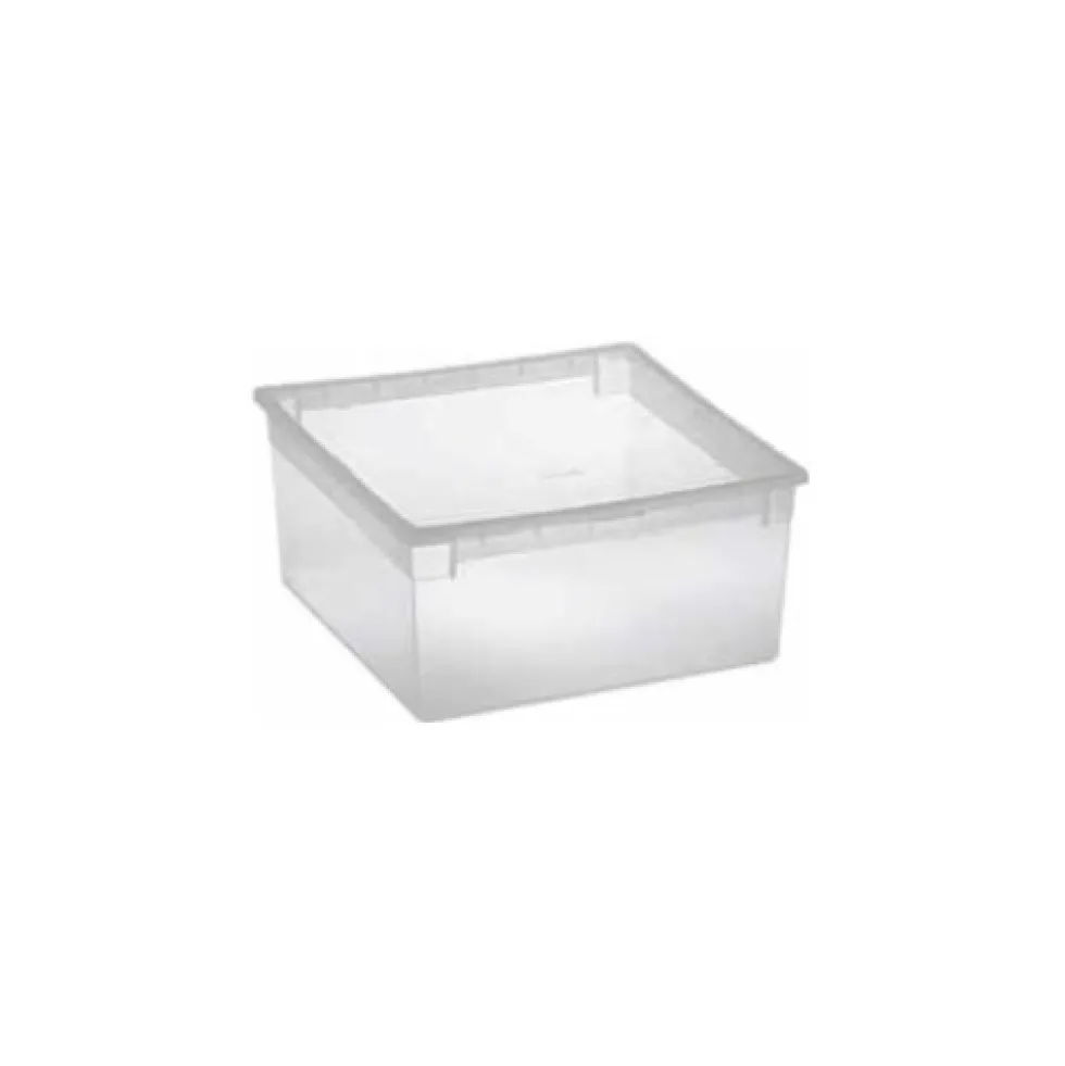 Contenitore Terry LIGHT BOX Trasparente