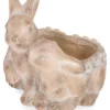 Coprivaso Yes Everyday 0143466 BLOSSY conigli Beige