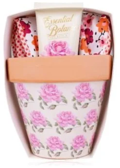 Crema mani Accentra set regalo con vaso fiori