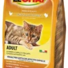 Crocchette gatto Monge 0029 LECHAT