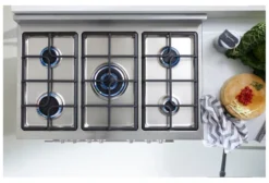 Cucina gas De Longhi PROFESSIONAL PRO96MX ED Inox
