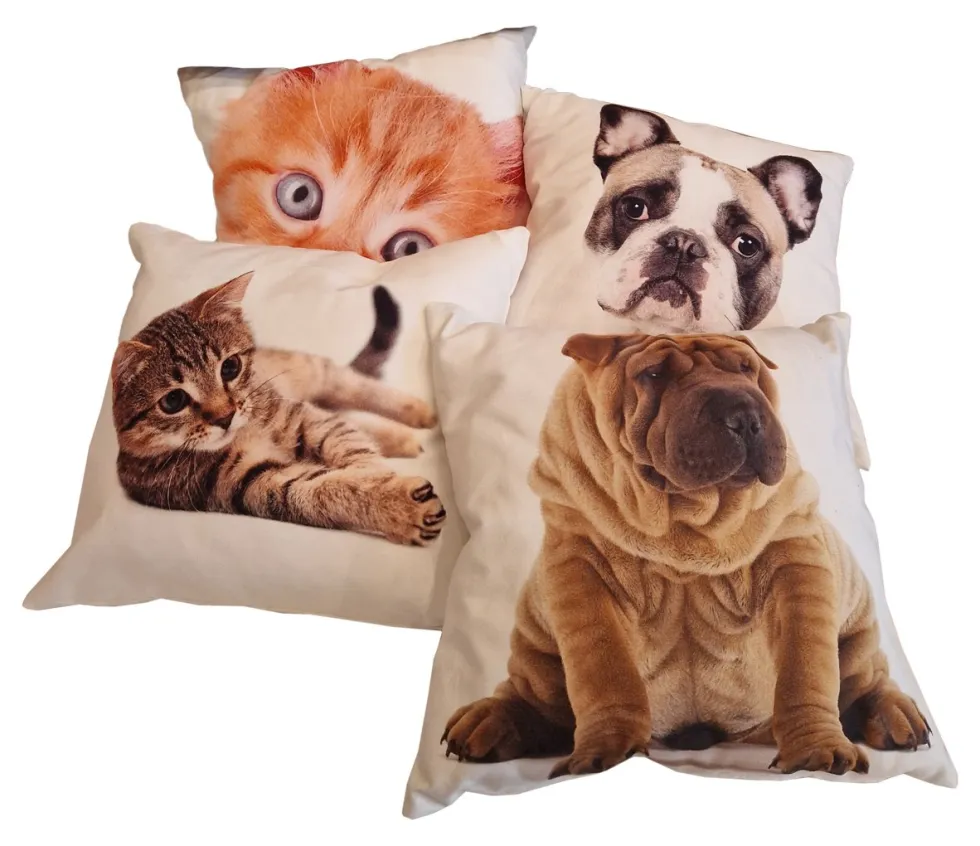 Cuscino arredo Olibò 400306 CANE CANI Assortito