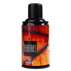 Deodorante ambiente Berberries