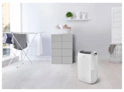 Deumidificatore De Longhi 0148520202 TASCIUGO ARIADRY Ddsx220 Multi Bi
