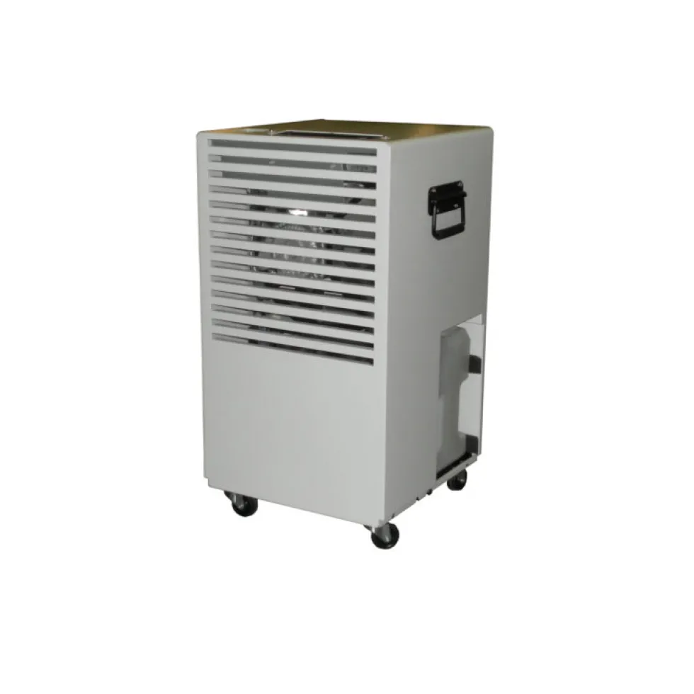 Deumidificatori portatile professionale FD33ECO
