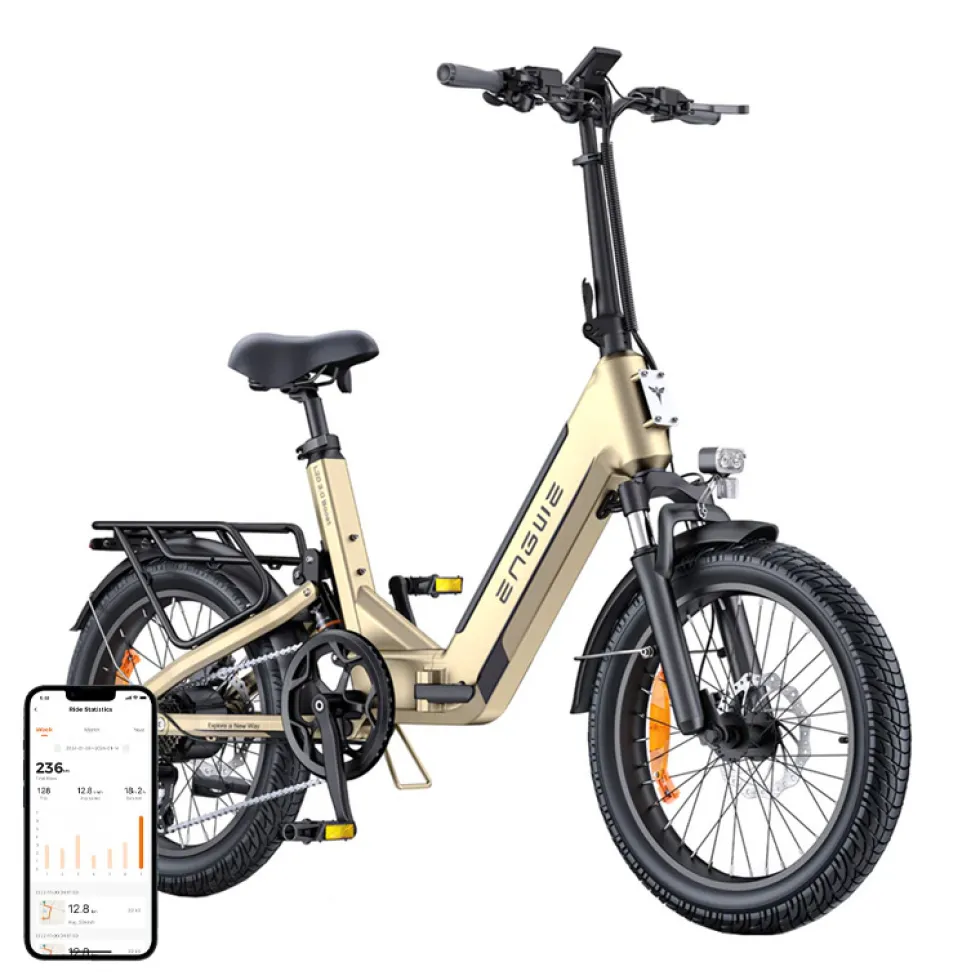 ENGWE L20 3.0 BOOST 250W Bicicletta Elettrica 16" (Oro)
