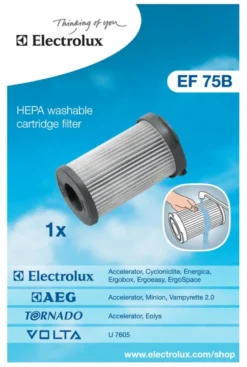 Filtro aspirapolvere Electrolux 9100165 EF75B Hepa White e Grey