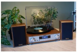Giradischi Lenco MC SERIES MC 160WD Wood