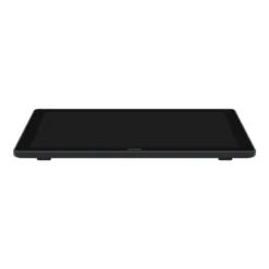Huion Kamvas Pro 22 (2019) - Tavoletta Grafica 21,5 pollici, Display Pen Tablet 8192 Livelli di Pressione, Batteria-Free Pen, 16 Gesti Personalizzabili, Compatibile con Windows/Mac