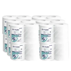 Imballo 12 confezioni di carta igienica idrosolubile Aquastream 340 Maxi Jumbo da 6 rotoli
