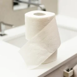 Imballo 10 confezioni di carta igienica 4 rotoli 2000 strappi Paperdi