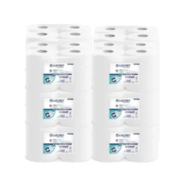 Imballo da 12 confezioni di carta igienica idrosolubile Aquastream 150 Mini Jumbo 12 rotoli